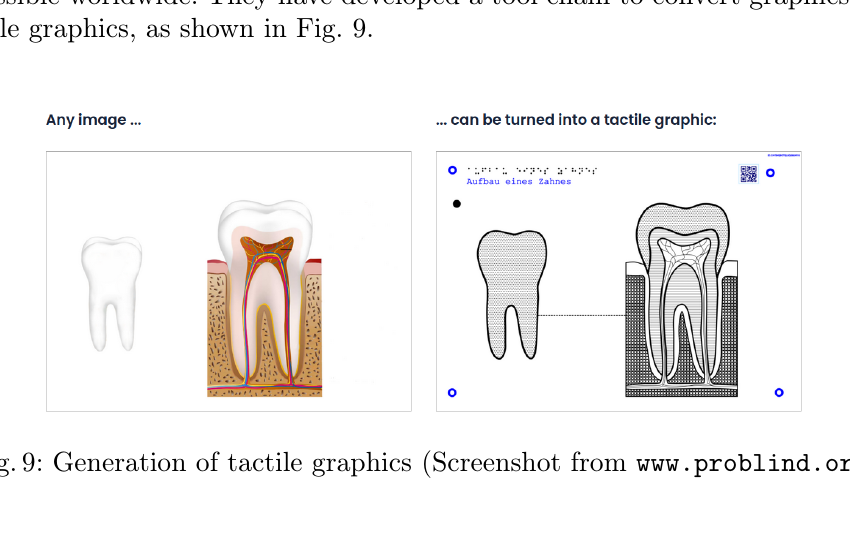 Beispiel einer Umwandlung von Bildinhalt in eine taktile Grafikdarstellung.